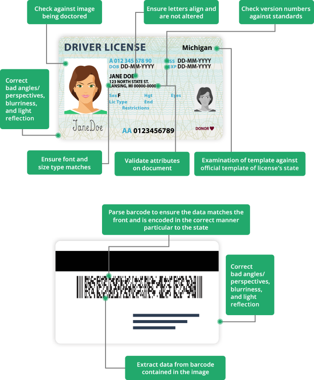 Drivers License Diagram